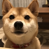 華