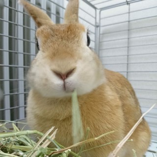 ありがとうございました♪