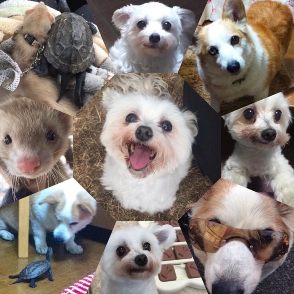 あやのカバー写真