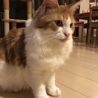 KUKU