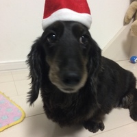 レオン