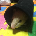 ありがとうございました