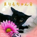 真っ黒くろにゃん☆まりもちゃん！