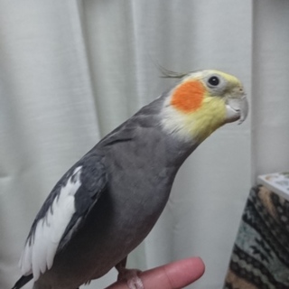 ご応募ありがとうございました。