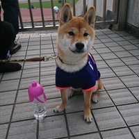 おと