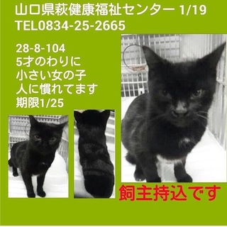 飼育放棄です！！！小さな女の子＞_＜