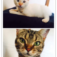 レーズン & プリンセス