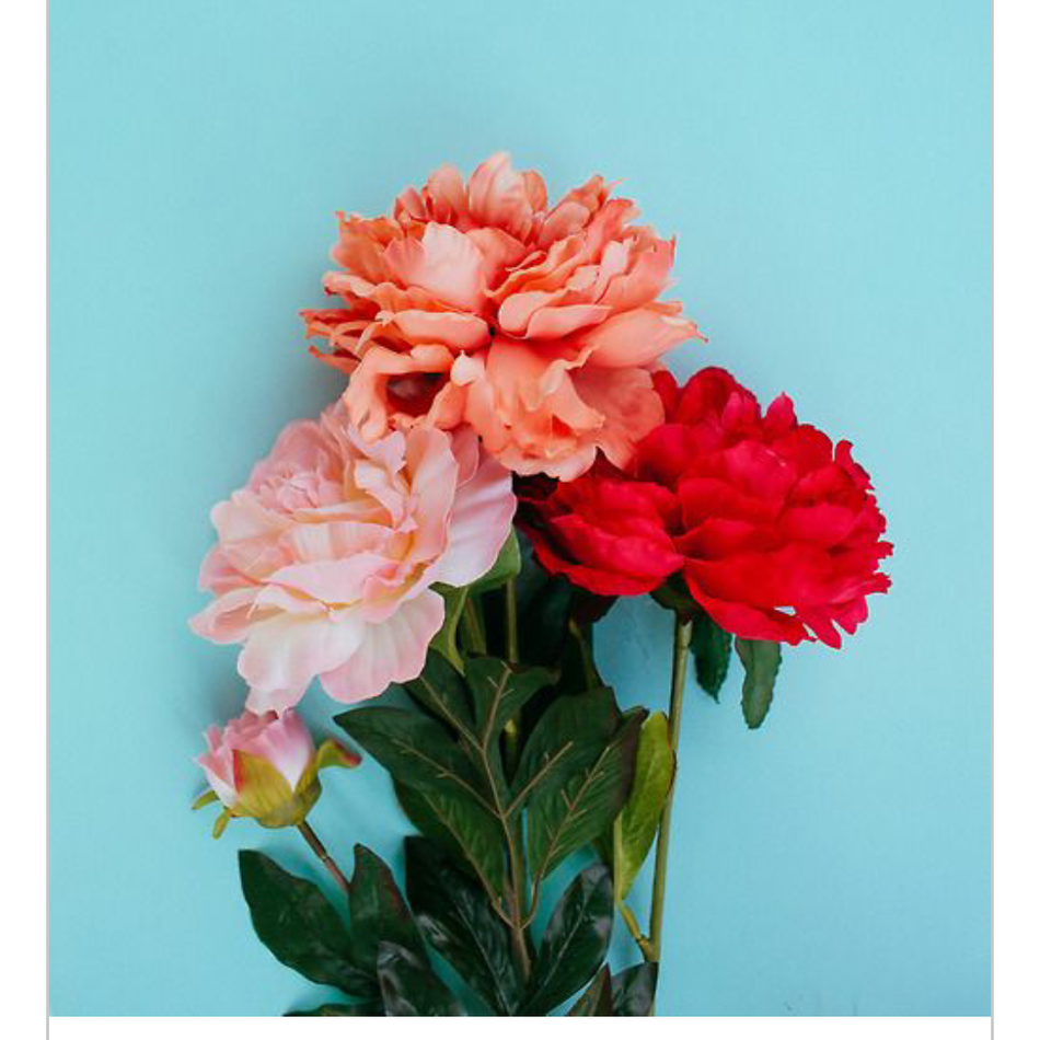 福のカバー写真