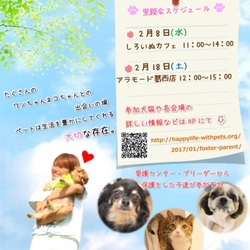 ペットと暮らそう里親会