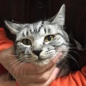 ふんわり柔らかな雰囲気の若い娘　