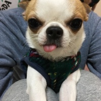 オバマ