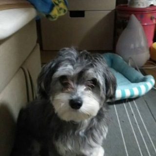 無事里親さま決まりました。