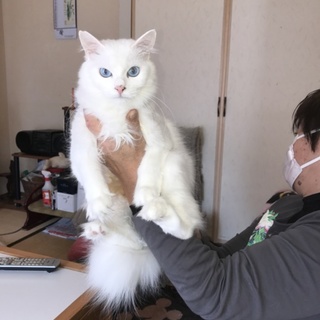 真っ白綺麗な６ヶ月の女の子