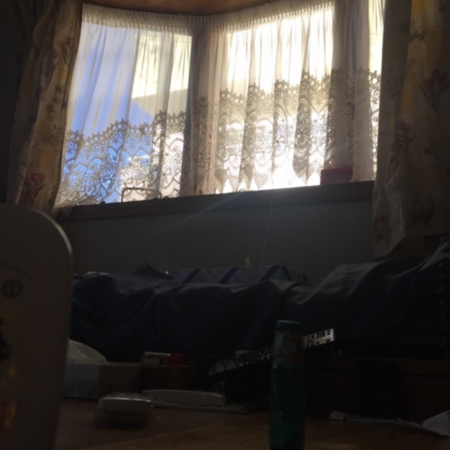 すずはるゆのカバー写真