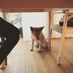 「大吉にいさん」サムネイル1