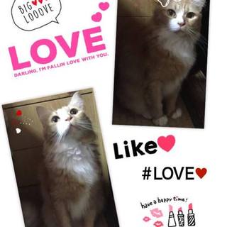 サッカー大好き★お婆ちゃん【ケメコ】