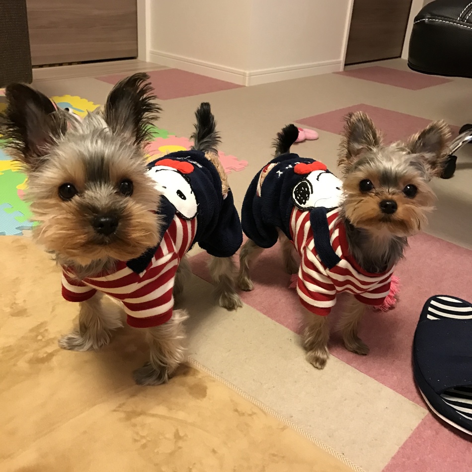 高木夏海のカバー写真