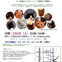 ＊子猫里親会＊一時預かりボランティアさん募集説明会