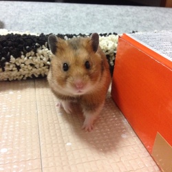 大好きな部屋散歩