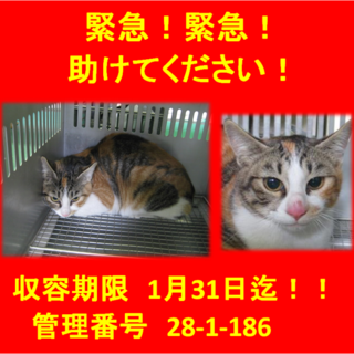 里親決定！！家族ができました(*´▽｀*)