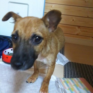 生後3ヶ月のまだまだ赤ちゃん、ふみちゃん