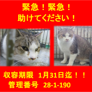 里親決定！！素敵な家族ができました(*´▽｀*)