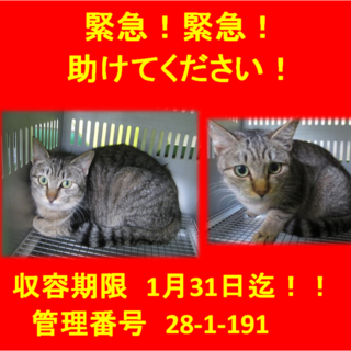 里親決定！！家族ができました(*´▽｀*)