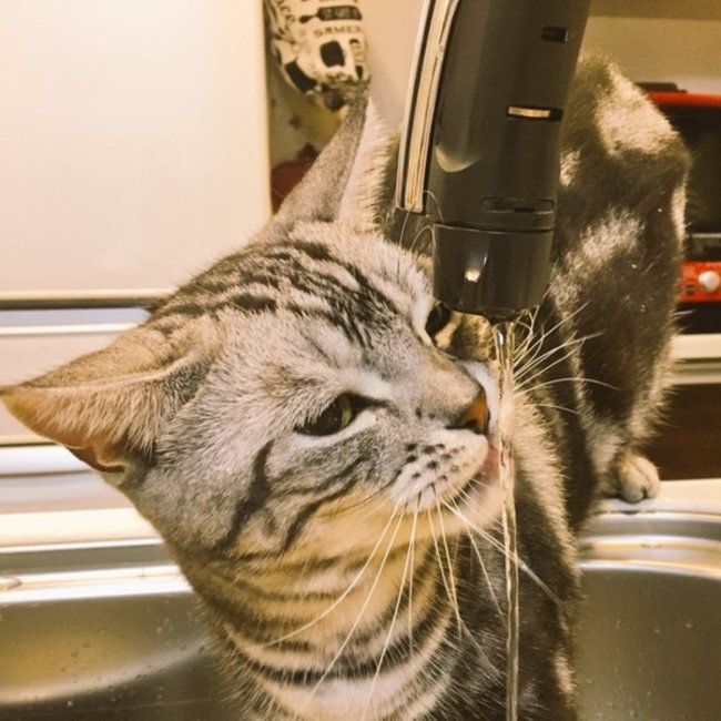 N なるみ Nのカバー写真