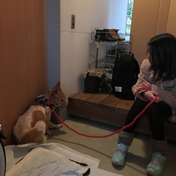 「初めての散歩？」サムネイル3