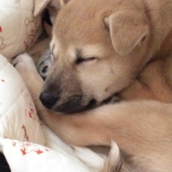 朝日はあったかい