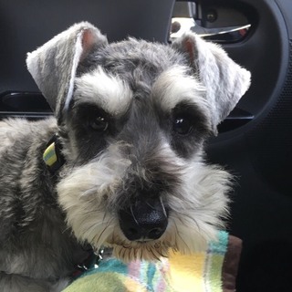 マイペースで呑気な男の子♪