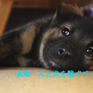 勇敢で元気なちびっ子、エール！