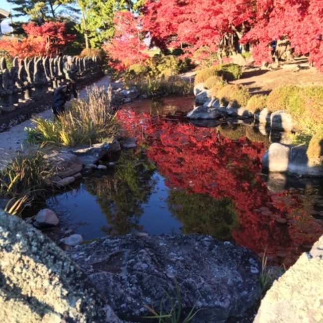 ミキLouのカバー写真