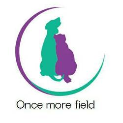 ☆★☆里親様譲渡会☆★☆　幸せ探してペットショップへ行く前に！ サムネイル3