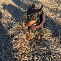 少し寂しい一月