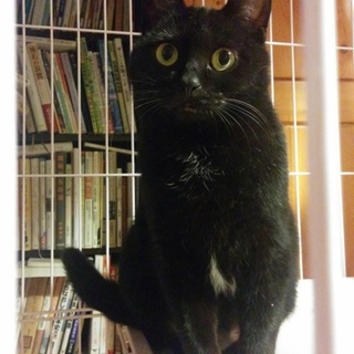 人が大好きな優しい女の子です☆