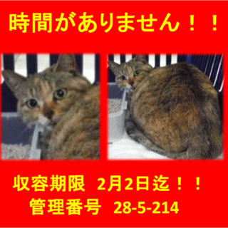 里親決定！！家族ができました(*´▽｀*)