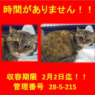 里親決定！！家族ができました(*´▽｀*)