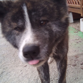 沢山のご応募ありがとうございました！