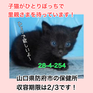 里親さまに迎えられました！