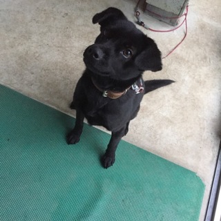 可愛がってくれる方募集です。