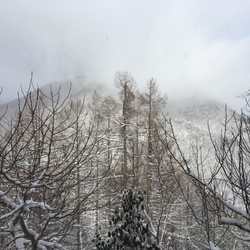 初めて動物病院行く、知っていて当たり前？