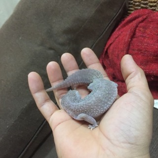 たくさんのご応募ありがとうございます