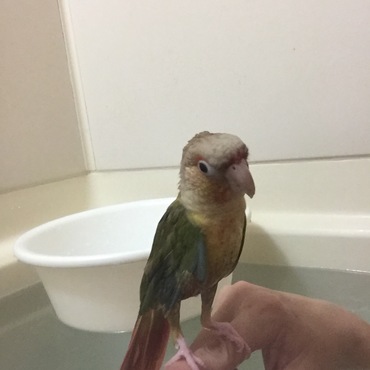 お風呂大好き〜❤️