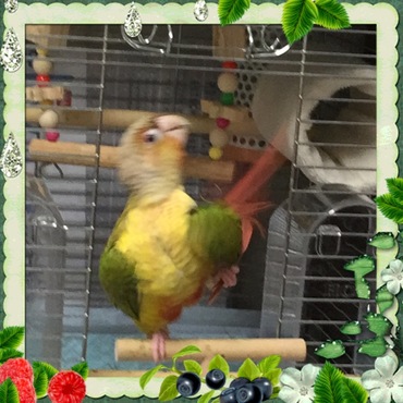 バレリーナな私