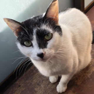 甘えるのが特技のベタベタ４歳の女の子