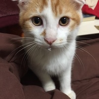 まる