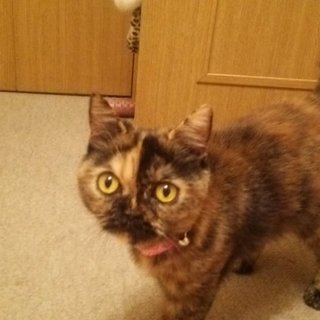 誰か私の眠りを覚まして！愛のキスを待つペコちゃん