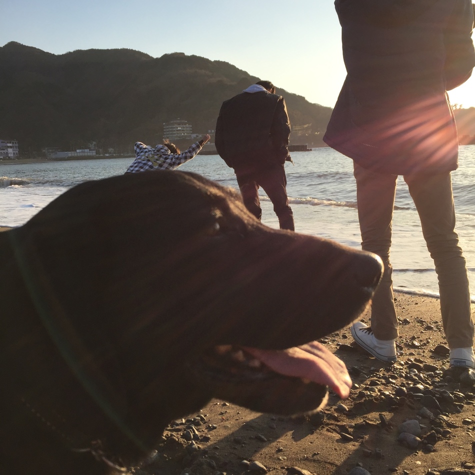 イサのカバー写真