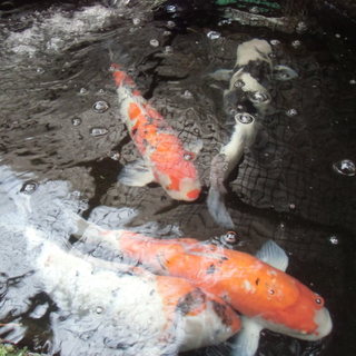 良縁に恵まれました、ありがとうございます。